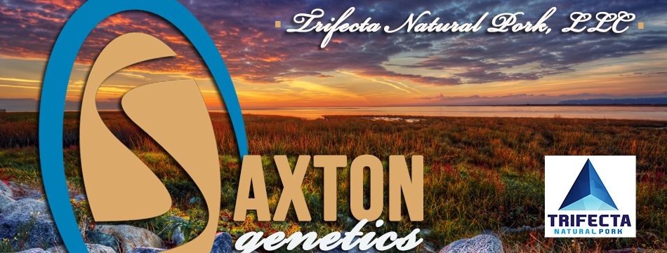 Saxton Genetics : Yuma, Colorado