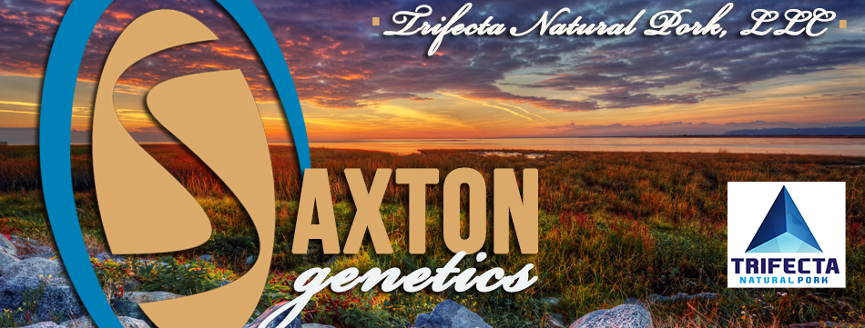 Saxton Genetics : Yuma, Colorado